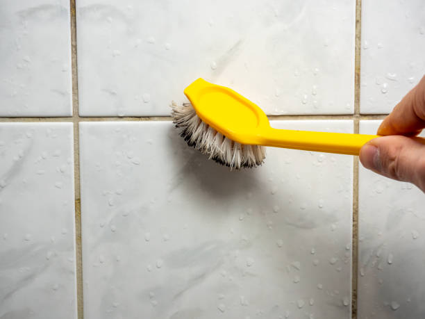 Best Black Mold Remediation in Fruitdale, CA