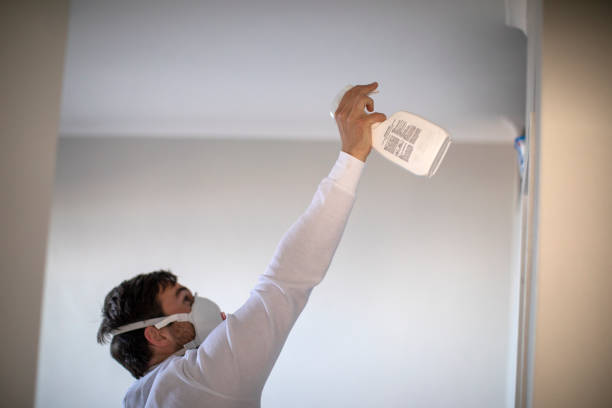 Best Basement Mold Remediation in Fruitdale, CA