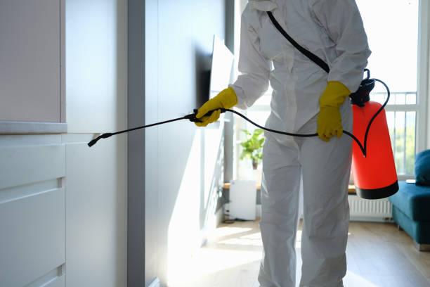 Best Post-Remediation Services in Fruitdale, CA